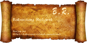 Babocsay Roland névjegykártya